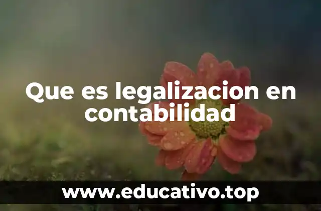 Que es legalizacion en contabilidad
