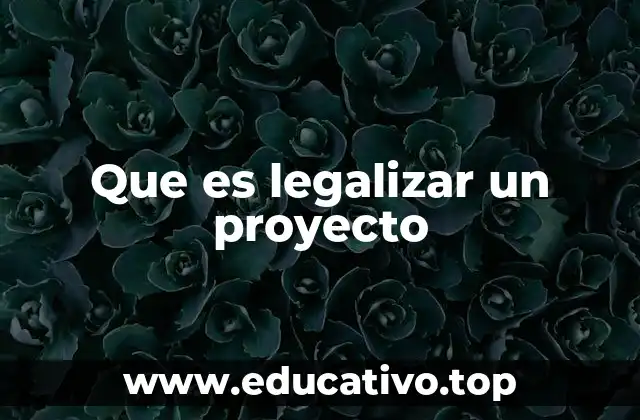 Que es legalizar un proyecto