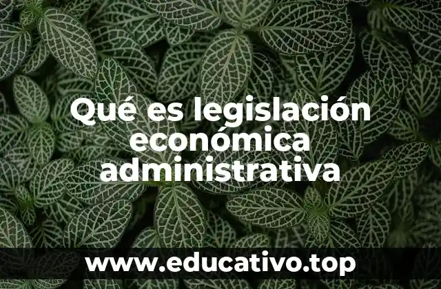 Qué es legislación económica administrativa