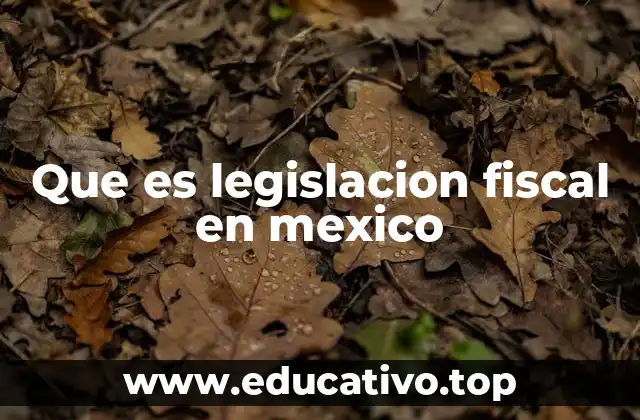 Que es legislacion fiscal en mexico