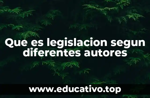 Que es legislacion segun diferentes autores