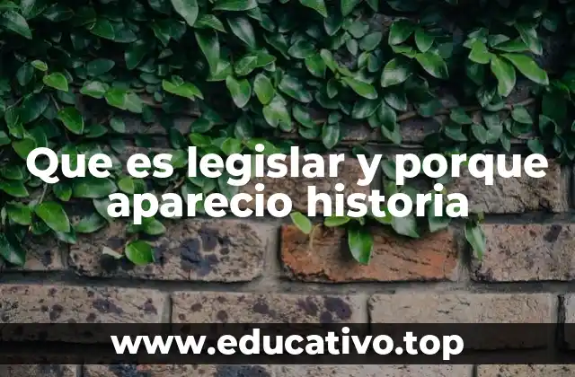 Que es legislar y porque aparecio historia
