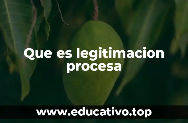 Que es legitimacion procesa