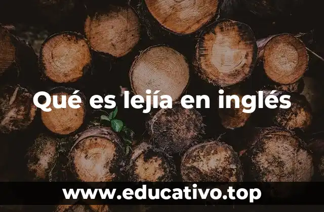 Qué es lejía en inglés