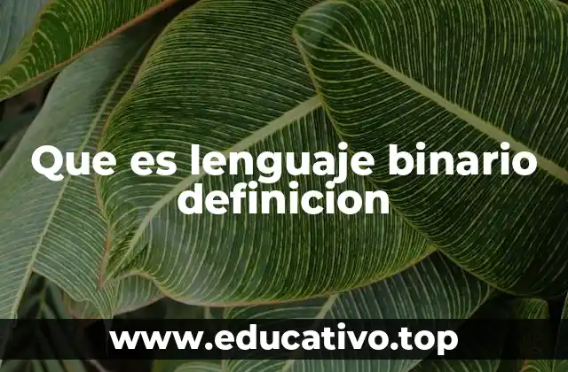 Que es lenguaje binario definicion