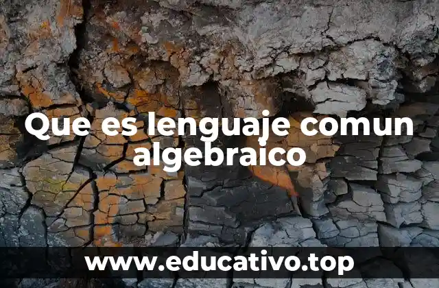 Que es lenguaje comun algebraico