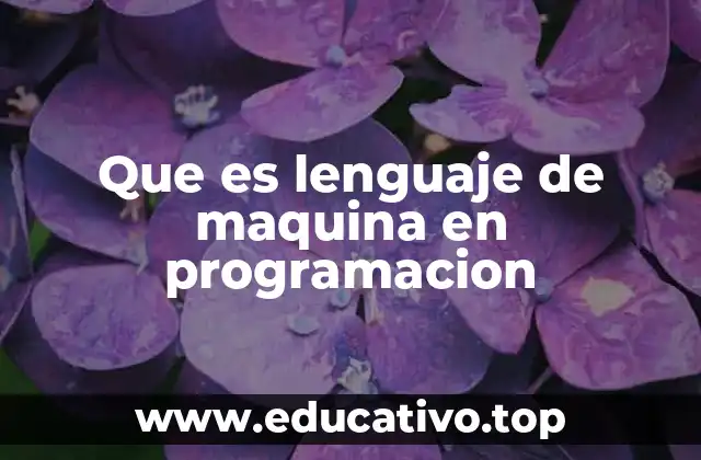 Que es lenguaje de maquina en programacion