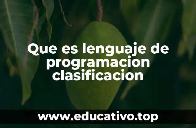 Que es lenguaje de programacion clasificacion