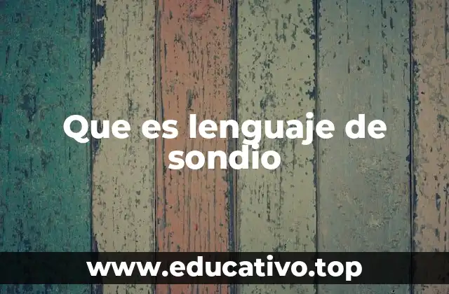 Que es lenguaje de sondio