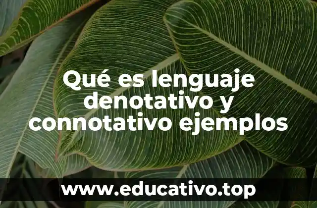 Qué es lenguaje denotativo y connotativo ejemplos