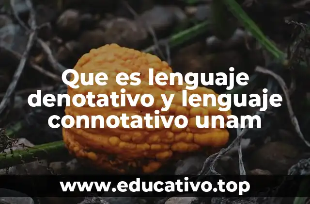 Que es lenguaje denotativo y lenguaje connotativo unam