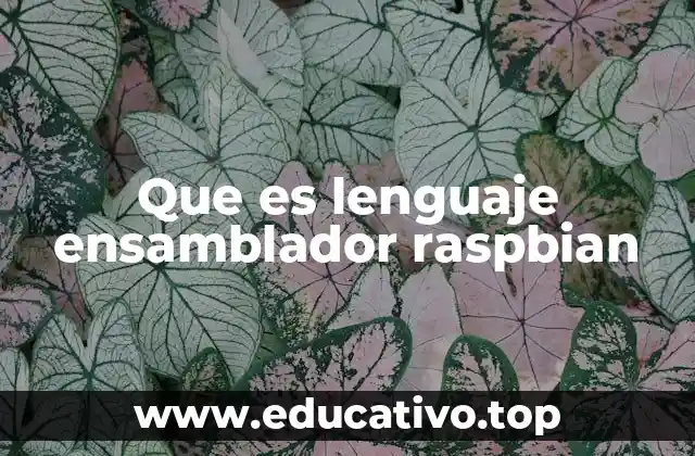 Que es lenguaje ensamblador raspbian