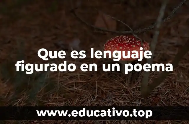 Que es lenguaje figurado en un poema