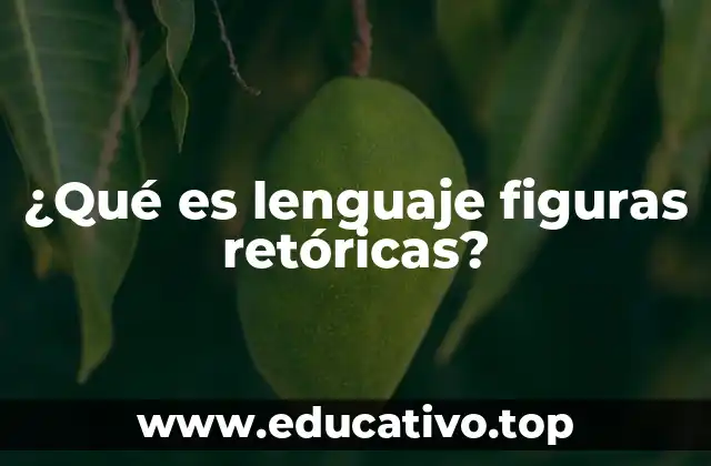 ¿Qué es lenguaje figuras retóricas?