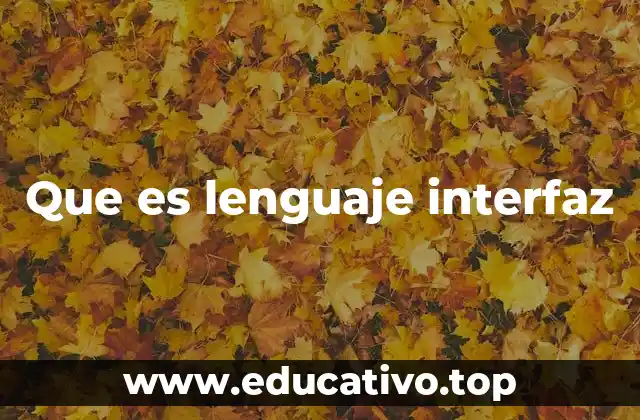 Que es lenguaje interfaz