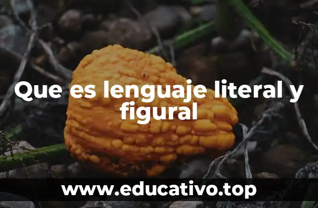 Que es lenguaje literal y figural