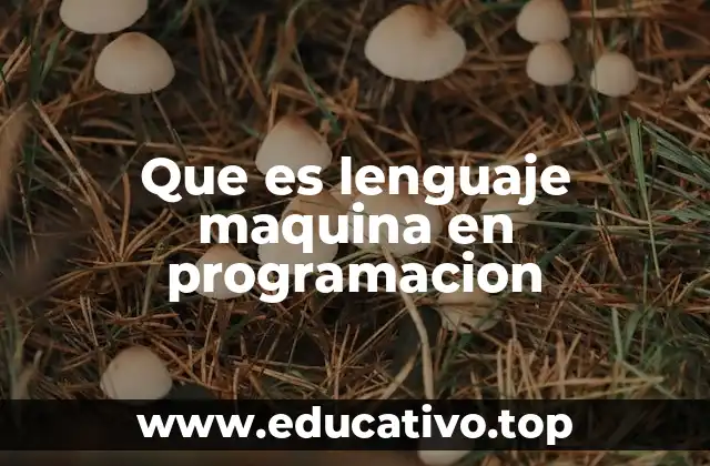 Que es lenguaje maquina en programacion