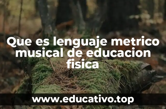 Que es lenguaje metrico musical de educacion fisica