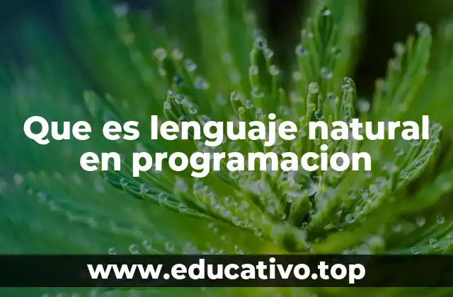 Que es lenguaje natural en programacion