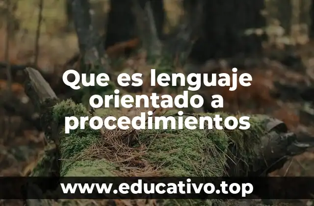Que es lenguaje orientado a procedimientos