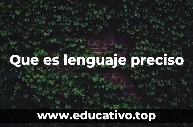 Que es lenguaje preciso