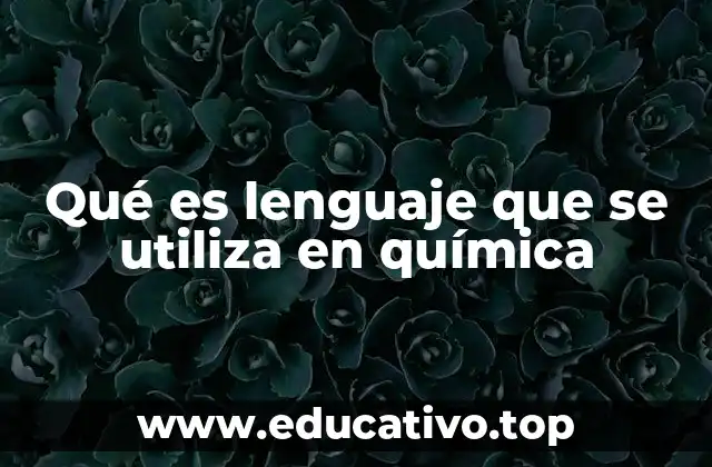 Qué es lenguaje que se utiliza en química