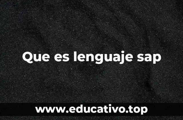 Que es lenguaje sap