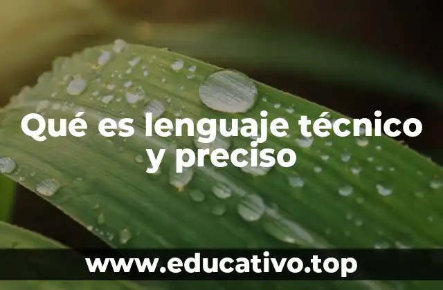 Qué es lenguaje técnico y preciso