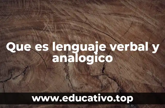 Que es lenguaje verbal y analogico