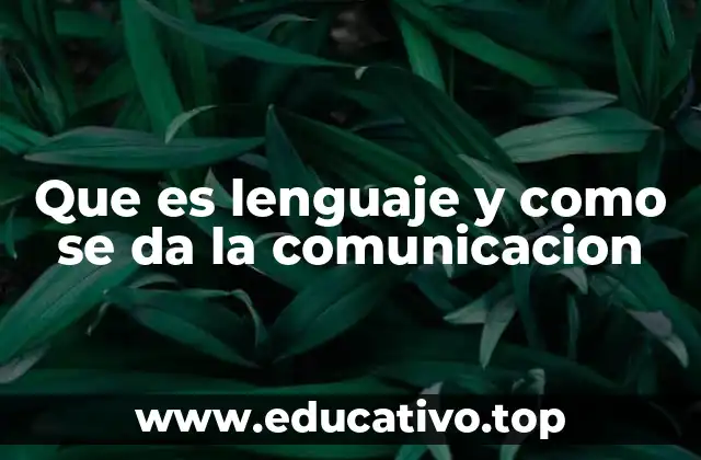 Cómo se establece la interacción humana mediante un sistema simbólico