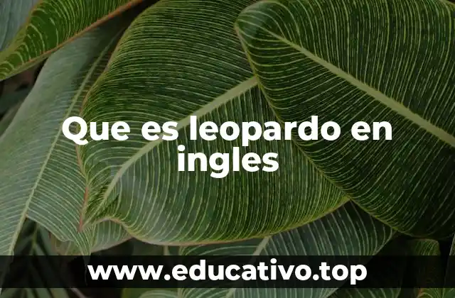 El leopardo y su importancia en la fauna mundial