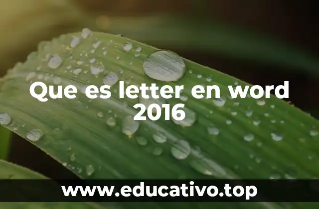 Que es letter en word 2016