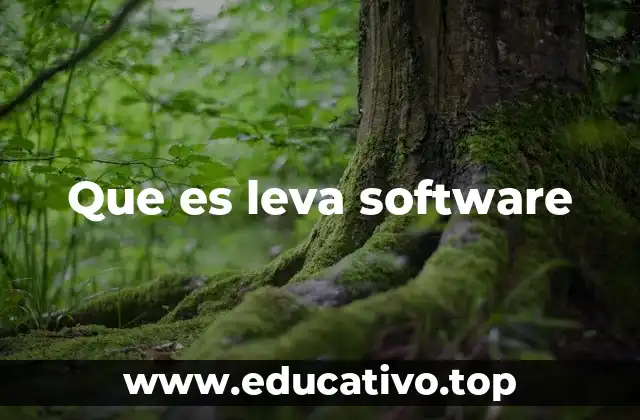 Que es leva software