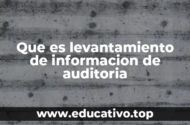 Que es levantamiento de informacion de auditoria