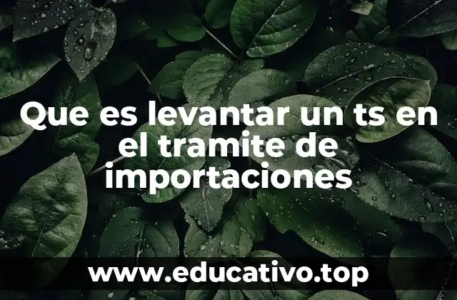 Que es levantar un ts en el tramite de importaciones