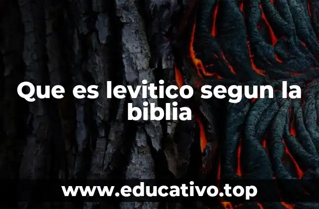 Que es levitico segun la biblia