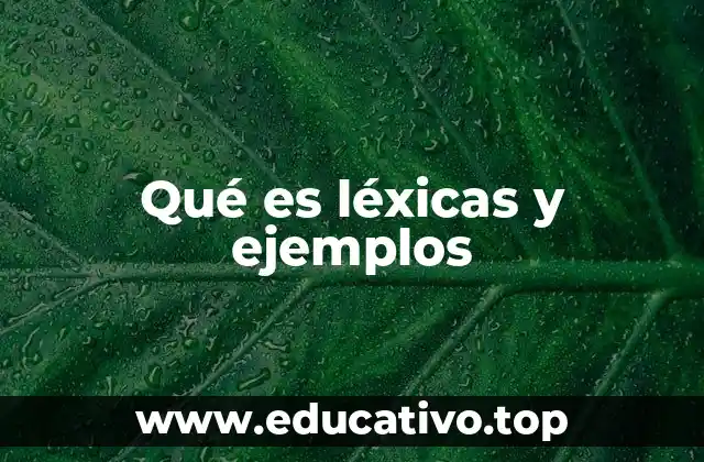 El léxico como espejo de la sociedad