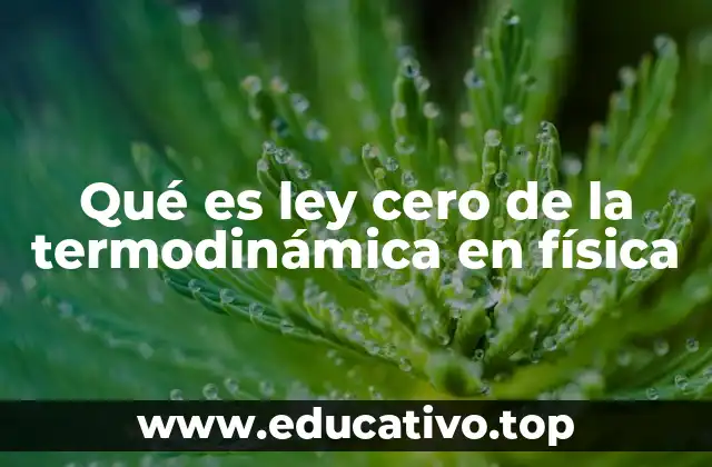 Qué es ley cero de la termodinámica en física