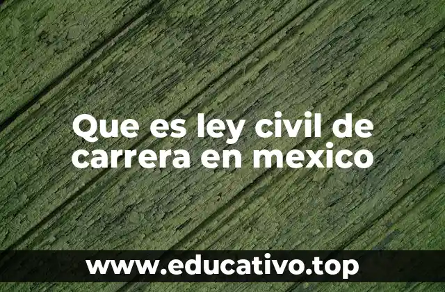 Que es ley civil de carrera en mexico