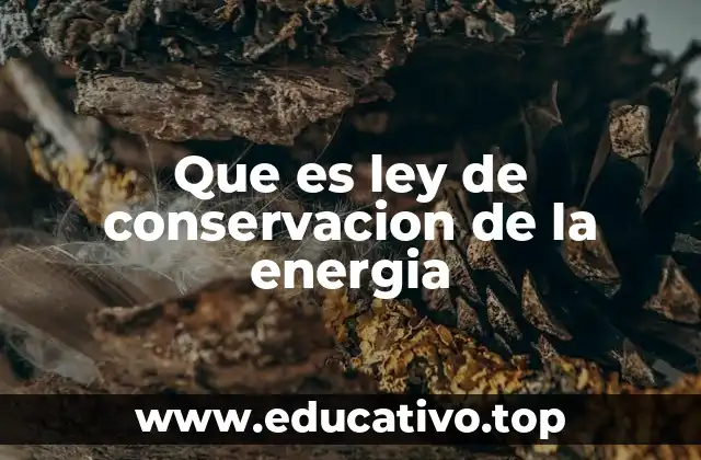 Que es ley de conservacion de la energia
