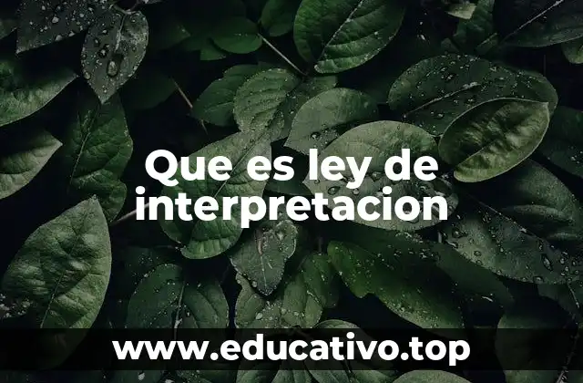 Que es ley de interpretacion