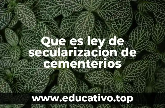 La importancia de la neutralidad en los espacios funerarios