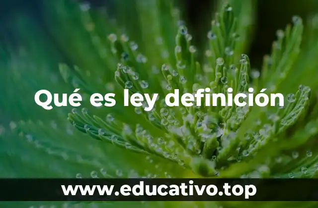 Qué es ley definición
