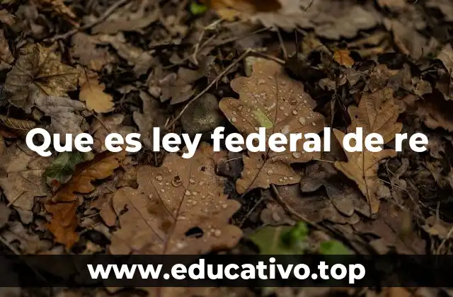 Que es ley federal de re