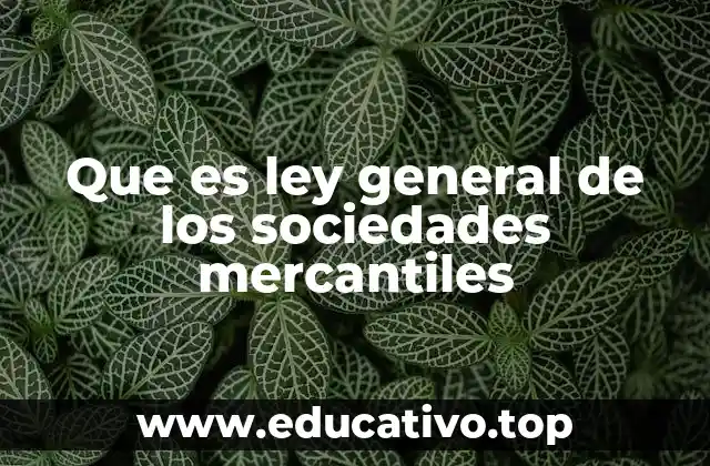 La importancia de la regulación jurídica en el entorno empresarial