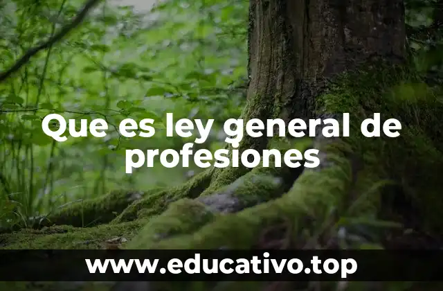 Que es ley general de profesiones