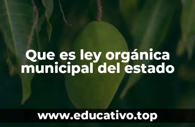 Que es ley orgánica municipal del estado