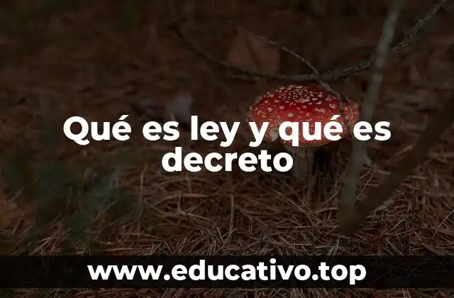 Qué es ley y qué es decreto