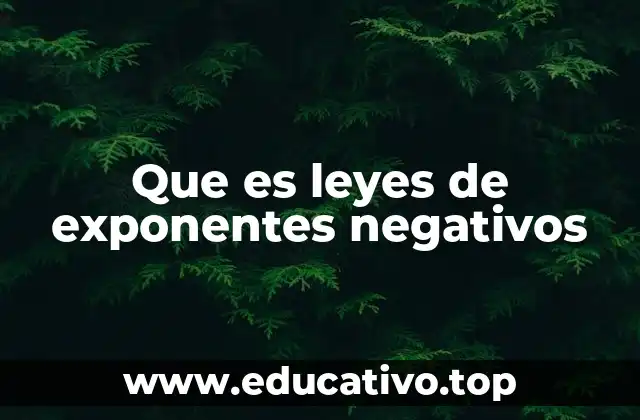 Que es leyes de exponentes negativos