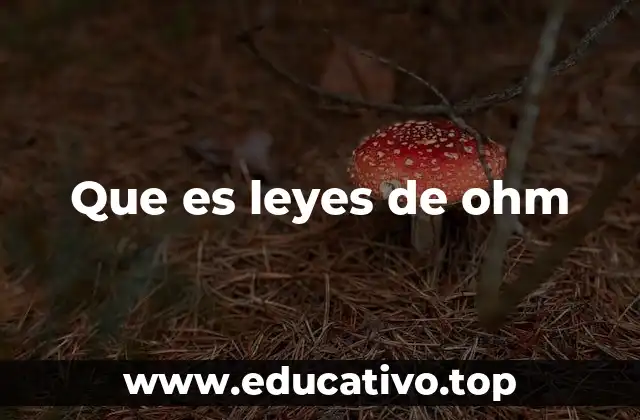 Que es leyes de ohm